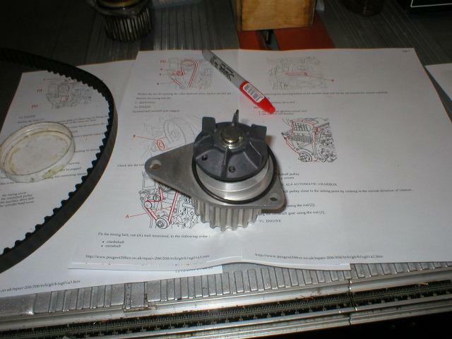Water Pump O Ring
